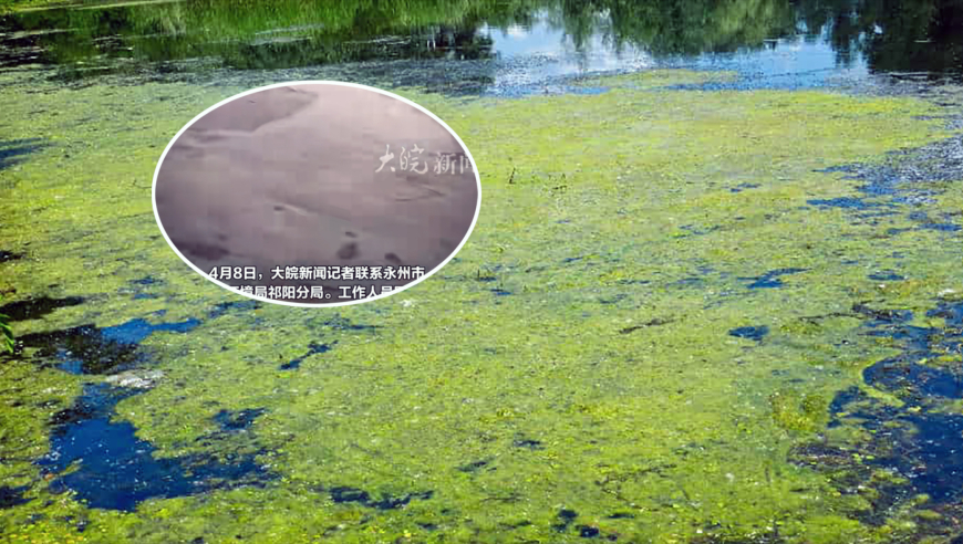 2025第二期管家婆圖片,世紀(jì)嬰兒千千去世,展開計劃實(shí)施_AndroidV11.20